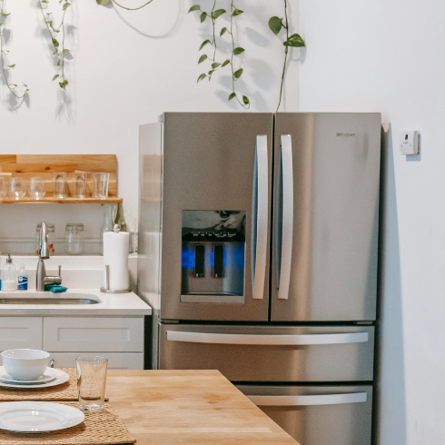Pop Flowers in the Fridge at Night A kitchen with plants and a chrome fridge