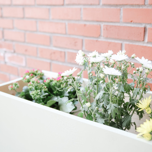 Make Your Own DIY Planter Box White wooden planter box for a front garden