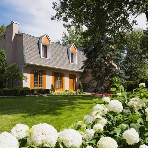 To Turf, or Not to Turf? A lush front garden with white flowers and beautiful green grass