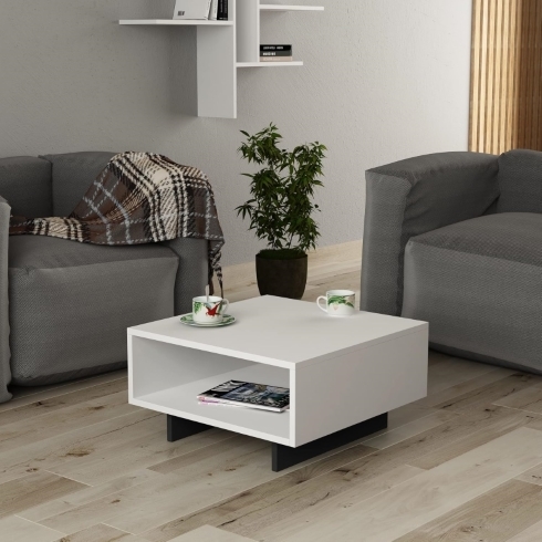 Small, Stylish Coffee Table with Storage White, low square-shaped coffee table with an integrated shelf.